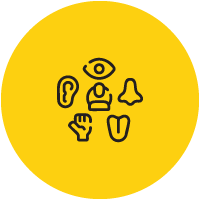 Sensory Hall