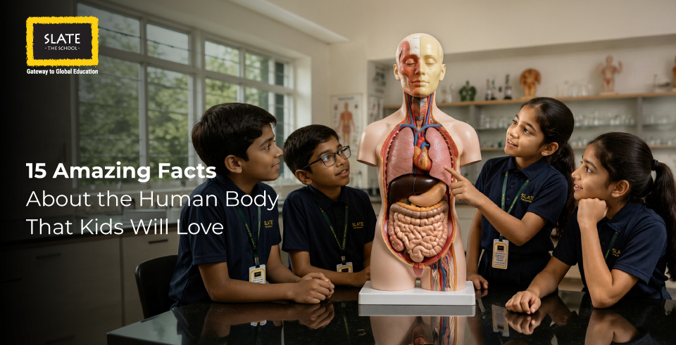 15 Amazing Facts About the Human Body That Kids Will Love!